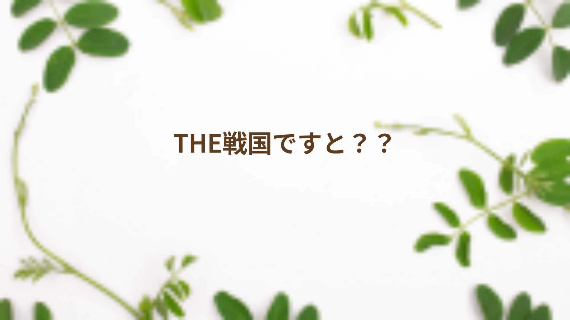 THE戦国ですと？？